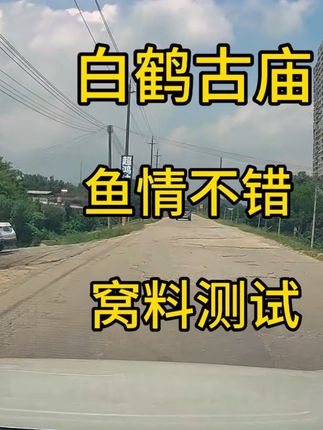 停车方便,车到水边,鱼情不错#户外钓鱼 #钓鱼那些事 #钓鱼