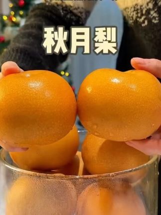 天哪!网上随手买的山东莱阳秋月梨,一开箱真的太惊艳了!个个个大圆润饱满,这是我吃过最好吃的梨啦,“十五到十八个糖!纯甜无酸、细腻无渣,皮薄肉厚汁水足,现摘现发保新鲜,一梨能润三秋!"#秋月梨新鲜#应季水果#脆甜多汁#快来一起尝个鲜#超便宜超划算