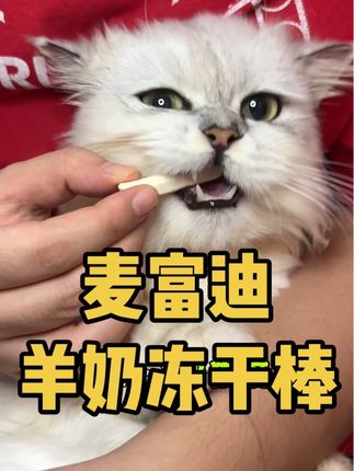 大牌麦富迪也来卷羊奶棒,品质工艺没得挑,一袋里还有三根好划算 #养猫新手 #养猫 #猫零食 #萌宠好物 #羊奶冻干棒
