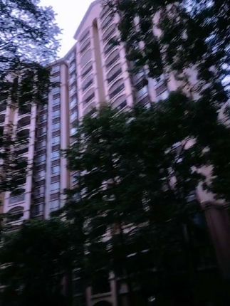 晨跑第9天,台风真的来了,在我犹豫不决的时候,雨停了,老天爷你不用那么眷顾我的😅😅😅