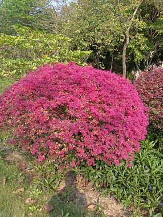 报喜了!好兄弟要结婚了,还是有了宝宝,拿胎盘素精华液做福利。9.9元一盒,拼手速#胎盘素精华液 #自用好物推荐 #好皮肤养出来 #上热门🔥