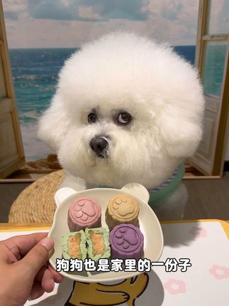 毛孩子也是家里的一份子,中秋节当然也要吃上香香的月饼呀#狗狗月饼 #宠物零食 #狗狗也是家人 #狗狗中秋节