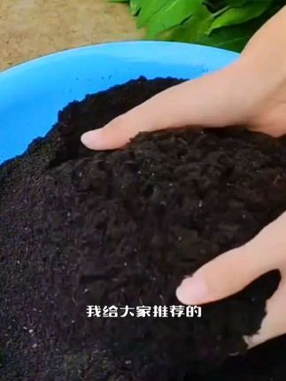 如果你家里的绿植总是长不好,可以试试这个鸡粪肥,它能有效解决植物黄叶掉叶、不生长的问题,而且它是经过高温腐熟发酵的,没有臭味也不会烧根,用起来安全又放心。家里养花种草都可以用它,能让你的植物长得更好,喜欢的朋友赶紧点击链接购买吧!