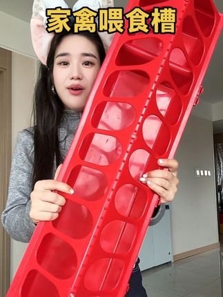 #结实耐用 #家禽养殖 #喂食槽 #家禽喂食槽 #三农养殖