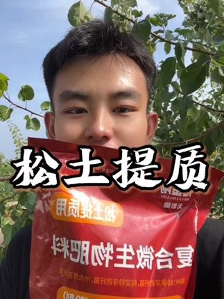 松土提质 多用菌肥#吉强农业#大樱桃种植管理