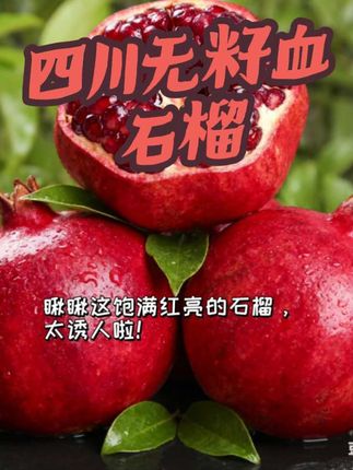 #无限回购的宝藏单品 #强烈推荐 #软籽石榴 #快来一起尝个鲜 #应季水果