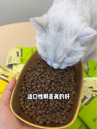 家人们赶紧薅,喵铮铮新品猫粮足足10包才这个价,可惜一人只能拍一单!#萌宠好物 #猫粮 #喵铮铮 #新手养猫