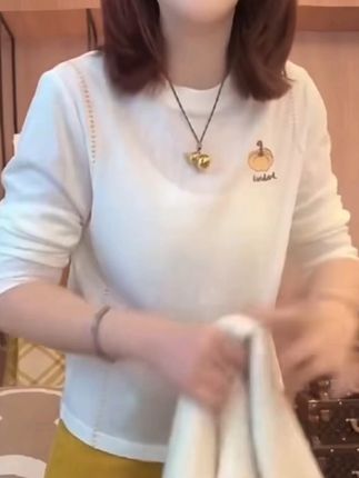 【南瓜T恤】圆领刺绣设计感T恤明线刺绣宽松百搭长袖LK2506988#气质高雅#时尚百搭#谁穿都好看