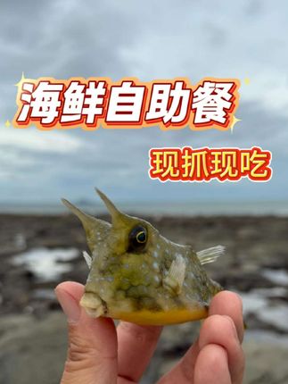 免费的海鲜自助餐,就要到海里吃 #李锦记道道都好吃 #炙热游戏百厨大战