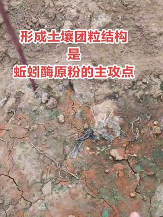 #热点 农户别再上当受骗了 其实土壤板结 不吃水 不扎深根 不起旺 没产量 一瓶蚯蚓酶原粉就够了#农业种植 #种植技术 #土壤改良 #土壤板结的改良方法