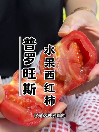 #普罗旺斯水果西红柿 #普罗旺斯西红柿 #西红柿 #水果西红柿 #新鲜采摘