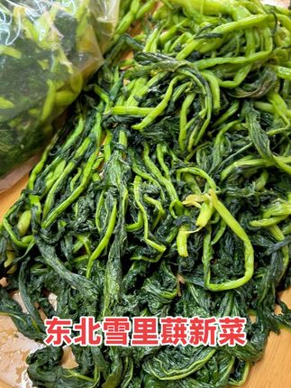 东北新鲜雪里蕻盐渍菜 当季新菜不老不柴嘎嘎嫩#抖音美食推荐官 #雪里红 #雪里红咸菜 #雪里蕻 #雪里蕻炖豆腐