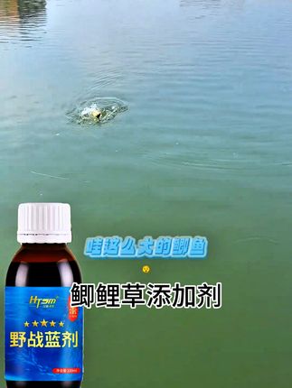 野战蓝剂鲫鲤草鳊青野钓饵料添加剂#鲫鱼添加剂#鲤鱼添加剂#野钓鲫鱼添加剂#饵料添加剂#钓鱼小药添加剂
