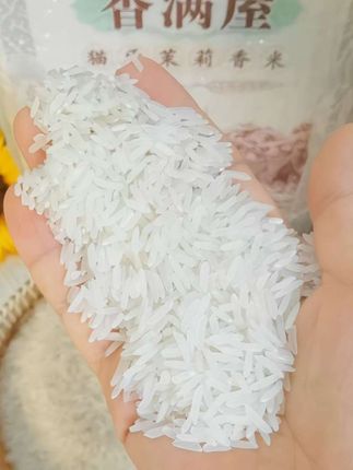 醇香猫牙米新米来啦!生态晚稻现磨锁营养,米饭饱满香甜,孩子抢着吃,上桌秒空盘!#猫牙米 #优质农产品 #妈呀太香了 #大米 #香米