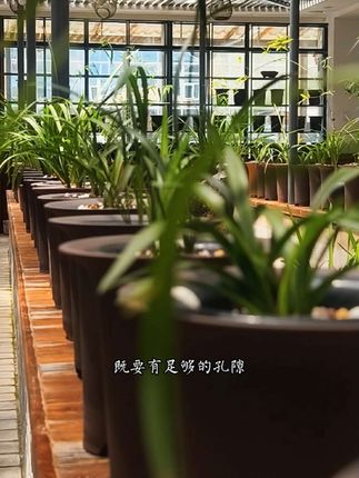 兰花植料源头工厂 #植料 的三大核心原则你知道吗?#养兰知识#养兰#植料#植料工厂