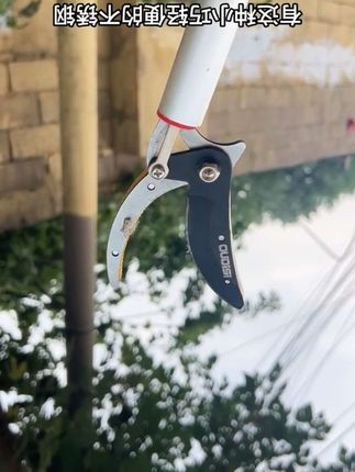 高空摘果器摘果不掉果不上果