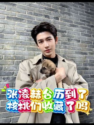 张凌赫台历到货了,核桃们收藏了吗#张凌赫#台历