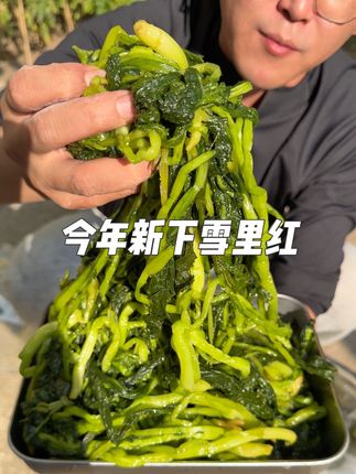 #雪里红 #雪里红咸菜 #雪里蕻