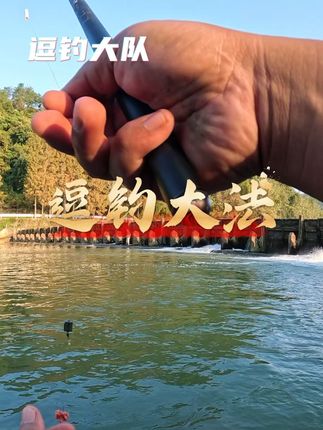 石斑鱼难钓不凡试试逗钓大法
