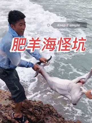 上百年没有干过的大海坑,每天晚上都会发出奇怪的叫声,今年我们壮着胆子拿了一头羊打窝,打算抽干,看看到底怎么回事#涨见识 #野外抓鱼 #海鲜知识 #户外赶海抓海鲜 #赶海生活