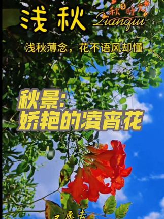今日碎片:自然美景 ,好看的凌宵花一定要分享给大家,希望能喜欢……