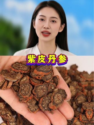 ##源头好货###野生丹参###产地直供 ##好东西一起分享 ##强烈推荐