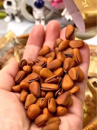 开森熊950特大颗粒东北松子特大号手剥开口酥脆休闲坚果干果零食#休闲零食 #懒人必备 #种草 #好物推荐🔥 #干果坚果