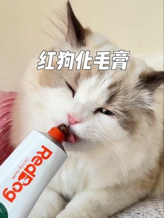 别再让猫咪自己难受的吐毛球了,这个化毛膏真的赶紧给它安排起来。#养猫新手 #红狗化毛膏