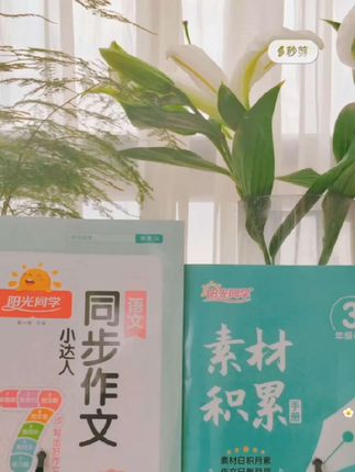 宝子们😎阳光同学25秋新版同步作文素材来啦!1-6年级全覆盖,完全同步教材,还有视频讲解。思维导图理思路,范文超多超优秀,素材积累超丰富,轻松助力满分作文,冲就完事儿!#阳光同学 #同步作文 #2025秋新版