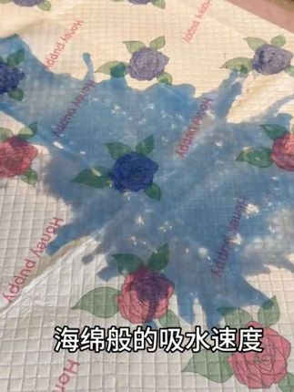 #狗狗#萌宠好物