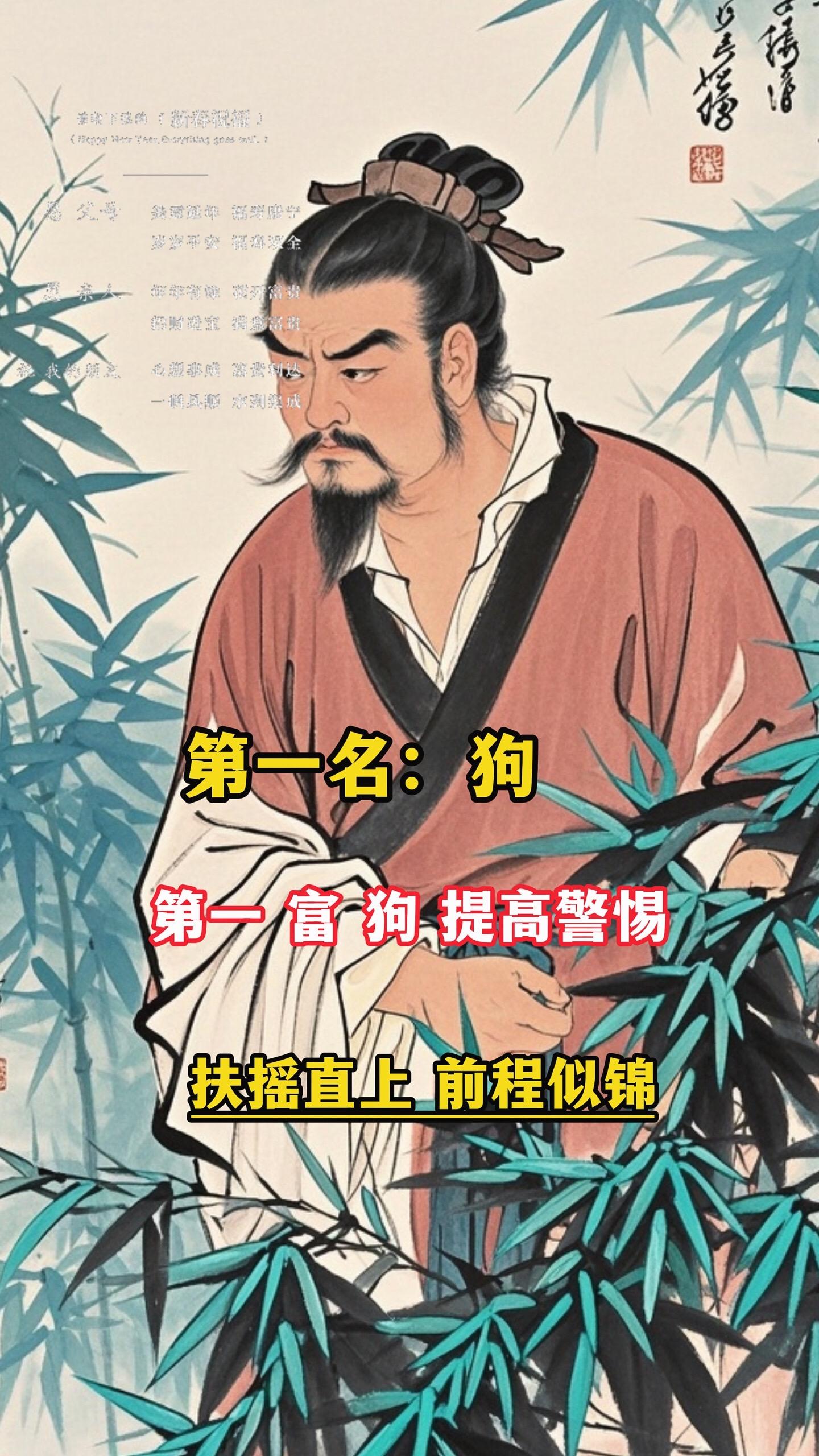#狗 #生肖狗 #属狗人