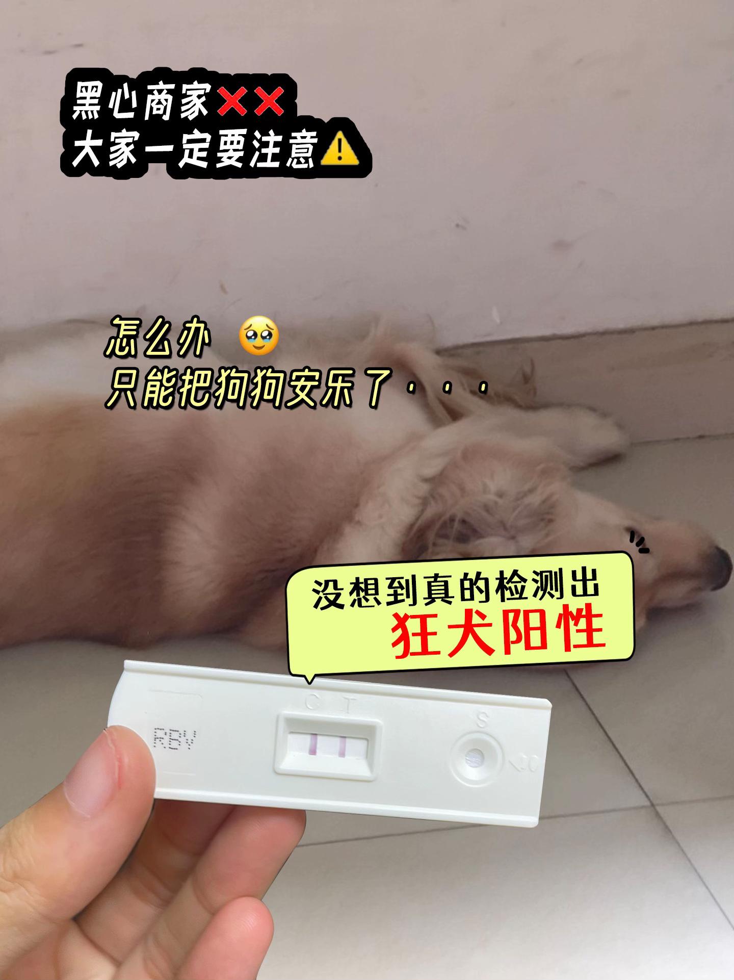 狂犬病的死亡率是100% 养宠家庭千万别忽视 给它们检测一下 被误伤也不需要担心了#狂犬病 #狂犬病毒 #萌宠好物 #新手养猫 #宠物
