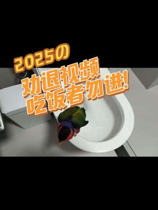 吃饭者禁入!小鸟早起第一要事!团粉反馈之前的视频大码太多看不到,这次重新编辑了。希望大家满意噻。#万万没想到 #原创视频 #搞笑 #不可思议 #鹦鹉