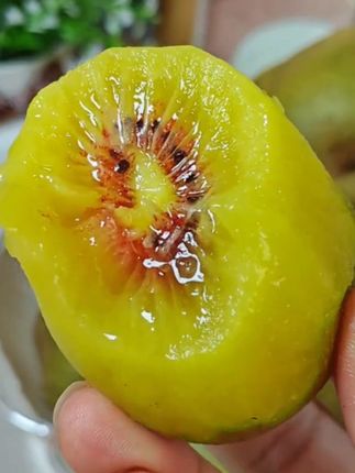 随手买的红心猕猴桃巨好吃,九分甜一分酸,满满的维C,口口爆汁#新鲜采摘 #应季水果 #红心猕猴桃 #优质农产品