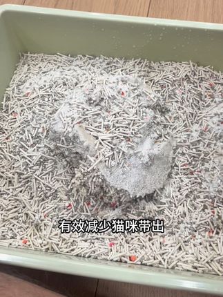 宠幸第四代混合猫砂集结了猫砂所有的优点!#宠幸 #木薯猫砂 #木薯混合猫砂