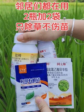全新升级版水稻苗后除草剂来啦!2瓶加2袋可打一亩地。水稻 旱稻 籼稻 粳稻都可以使用。只除草不伤一棵水稻苗。#水稻 #水稻苗后除草剂 #除草剂 #水稻种植 #水稻增产