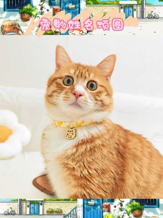 铲屎官们看过来👀给毛孩子挖到超棒的项圈啦!, ,能刻名字的猫咪项圈,简直是防丢神器。材质安全舒适,安全扣设计超贴心,不怕猫咪误触危险。还有好多可爱款式,戴上就是猫界小明星😉, ,#猫咪项圈 #防丢项链 #猫颈饰品 #宠物用品