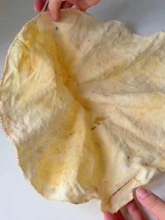 赶紧把老式屉布扔掉吧#好物分享 #屉布 #屉布蒸笼纸 #厨房好物 #美食