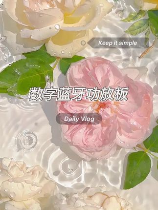 #电子爱好者 #音响发烧友 #电工知识 #功放音响 #唱歌设备