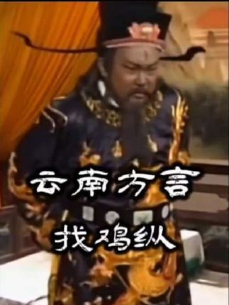 找鸡纵 #云南方言搞笑配音#云南兰陵王