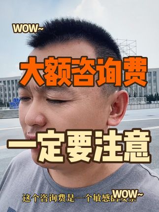 老板报销大额咨询费 会计一定要这样做！#咨询费 #发票 #虚开发票 #会计 #魏禾