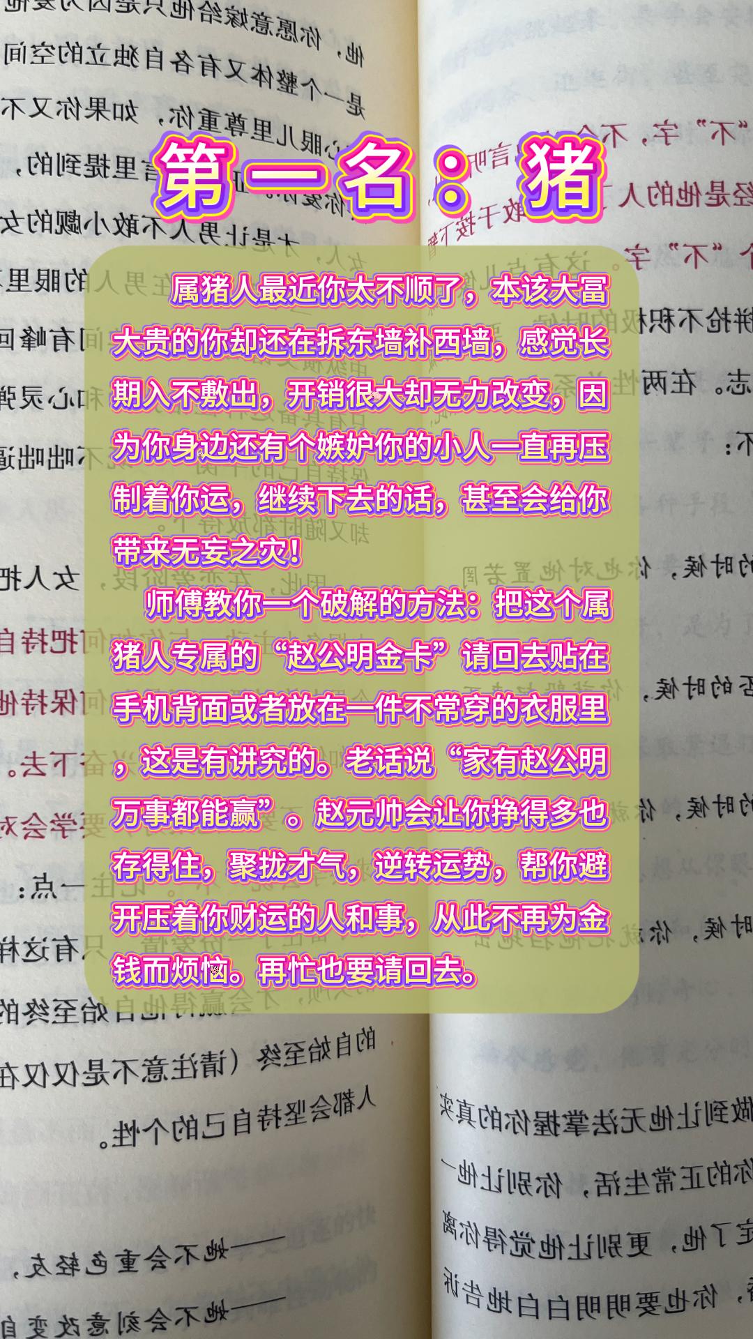 #生肖猪 #属猪