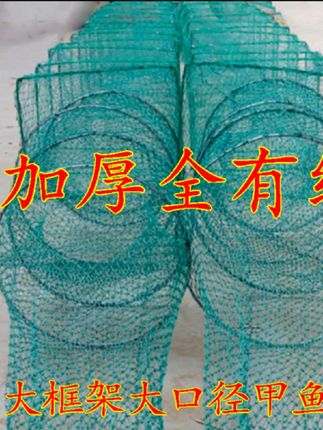 超大甲鱼专用笼  龟笼有结蟹笼虾笼 #@DOU+小助手 龙虾网鱼笼  鳖笼 #地笼 #捕鱼笼#捕虾笼