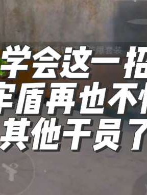 学会这一招,牢盾再也不怕抬手了#三角洲行动 #三角洲行动烽火地带 #三角洲行动手游 #碎星行动