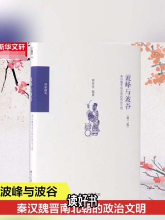 波峰与波谷 阎步克 著 历史研究史学理论史纲 北京大学出版社#石家庄都市圈发展规划 #个人养老金怎么抵税 #2025年重大项目 #一池两新万企