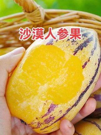 甘肃民勤沙漠人参果个大饱满、果肉细腻、汁水充足、果香浓郁、清甜爽口、营养丰富,新鲜如初的甜蜜,让您口口留恋!#人参果 #新鲜应季水果 #好吃到停不下来 #吃货