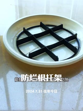 便宜又实用的#透气花盆垫 垫上它能抬高盆底,增加花盆透气性,避免植物积水烂根#好物推荐🔥 #花盆托架 #防烂根神器 #养花小技巧