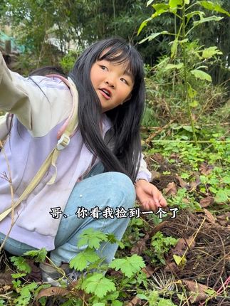 有没有小时候早上上学之前、先去树下捡核桃的兄弟姐妹、有的评论区报个到#我的乡村生活 #新农人计划 #农村生活 #我的农村生活 #小时候味道