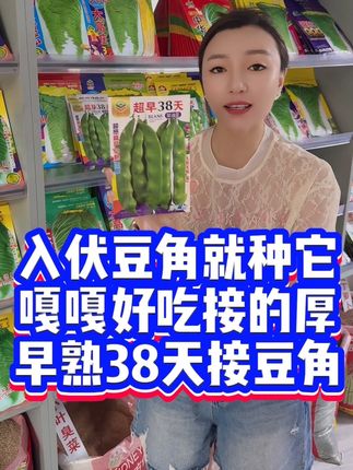 #蔬菜种子 #三农 #豆角种植 #早熟油豆种子