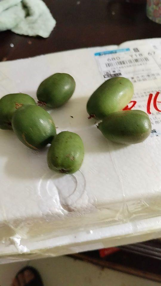 太小了,酸 #我在抖音买买买